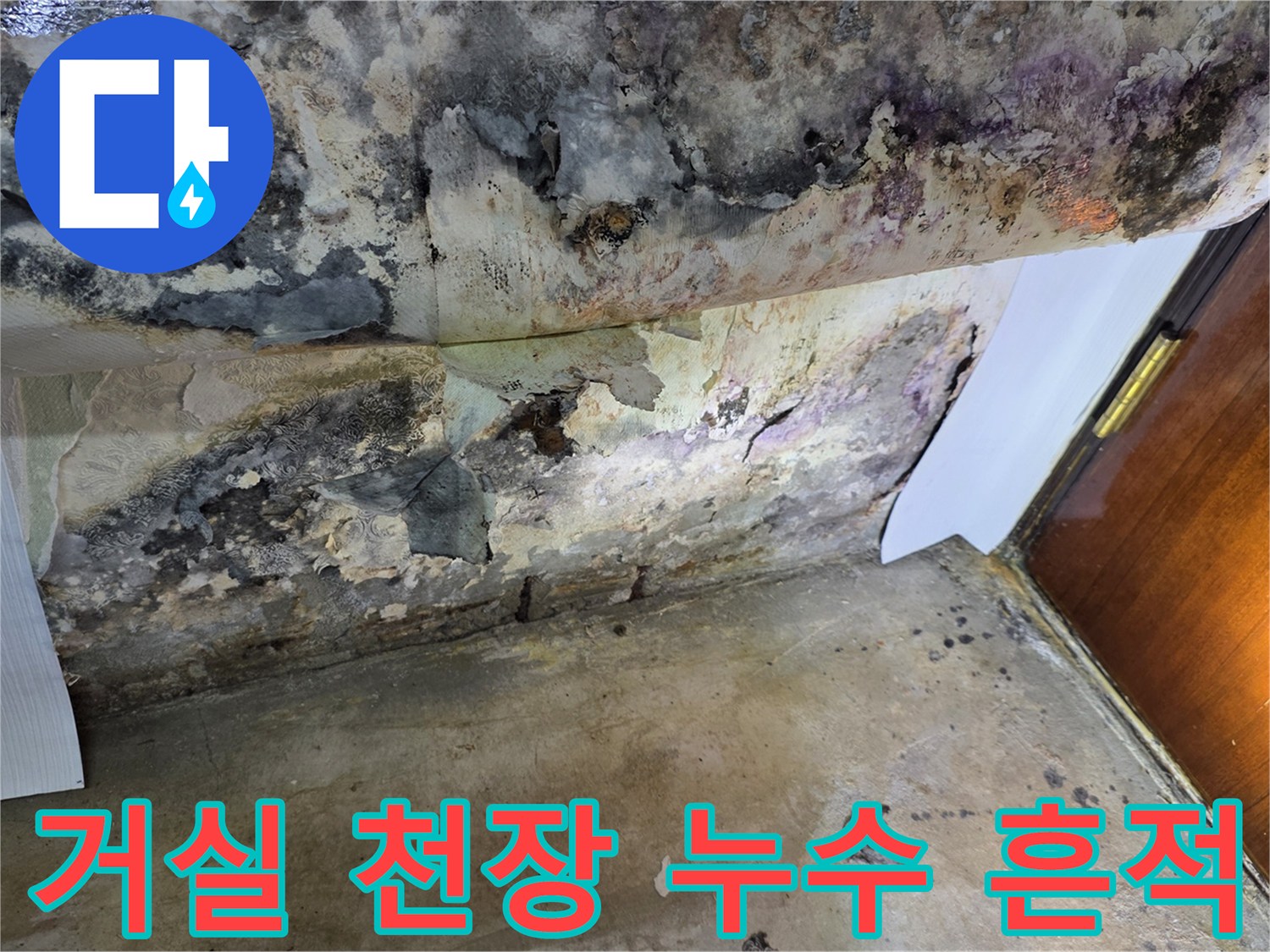 강서구 가양동 아파트-거실 천장의 심한 변색과 곰팡이 상태