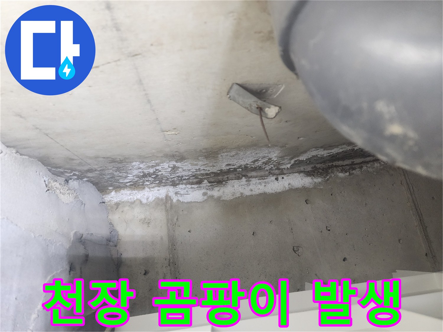 도봉구 한양아파트에서-천장 누수로 인해-발생한 곰팡이와-백화 현장입니다