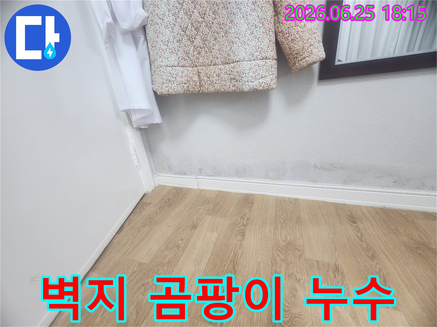 벽 하단에 발생한 곰팡이와-습기 자국은-벽지 손상과 함께-누수가 진행되고 있음을 나타냅니다-건강과 직결되므로-빠른 조치가 요구됩니다.