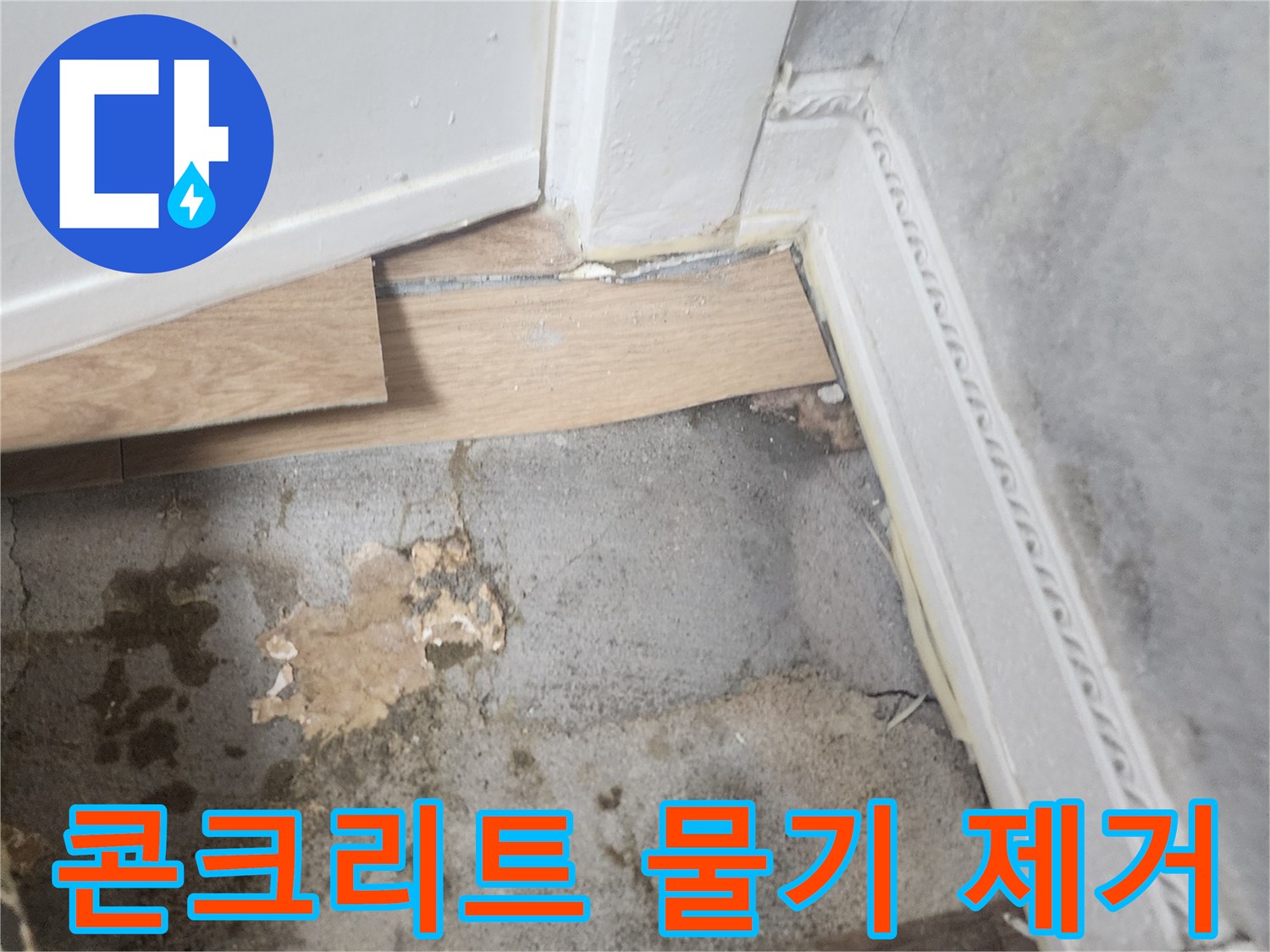 벽과 바닥이 만나는 지점에서-습기로 인해 변색되고-곰팡이가 시작된 듯한-누수 현장 사진입니다.