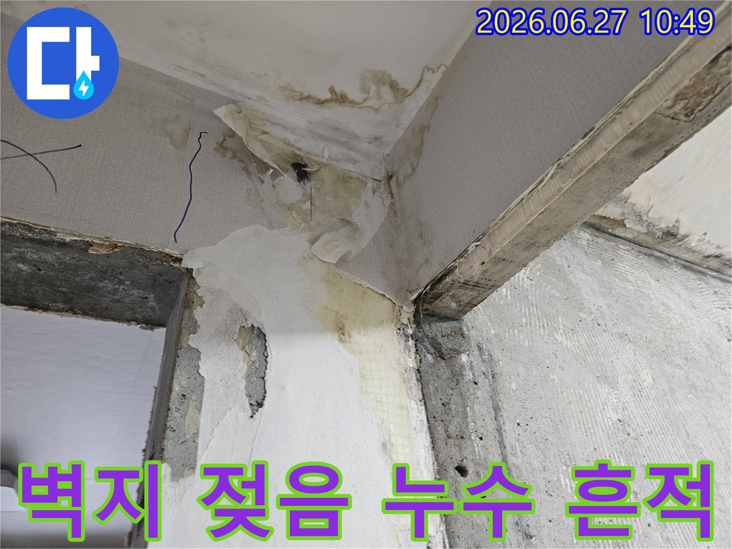 벽면과-천장-모서리에서-발견된-심각한-누수-흔적과-곰팡이-피해-모습