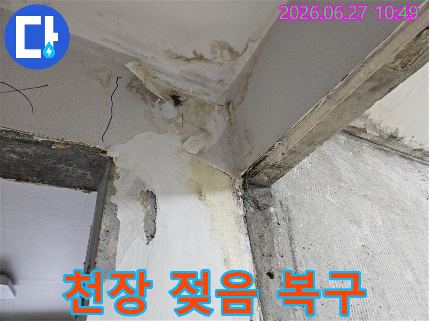 천장과-벽면-모서리에서-발견된-누수로-인한-벽지-젖음-현상-완벽한-복구가-필요한-현장