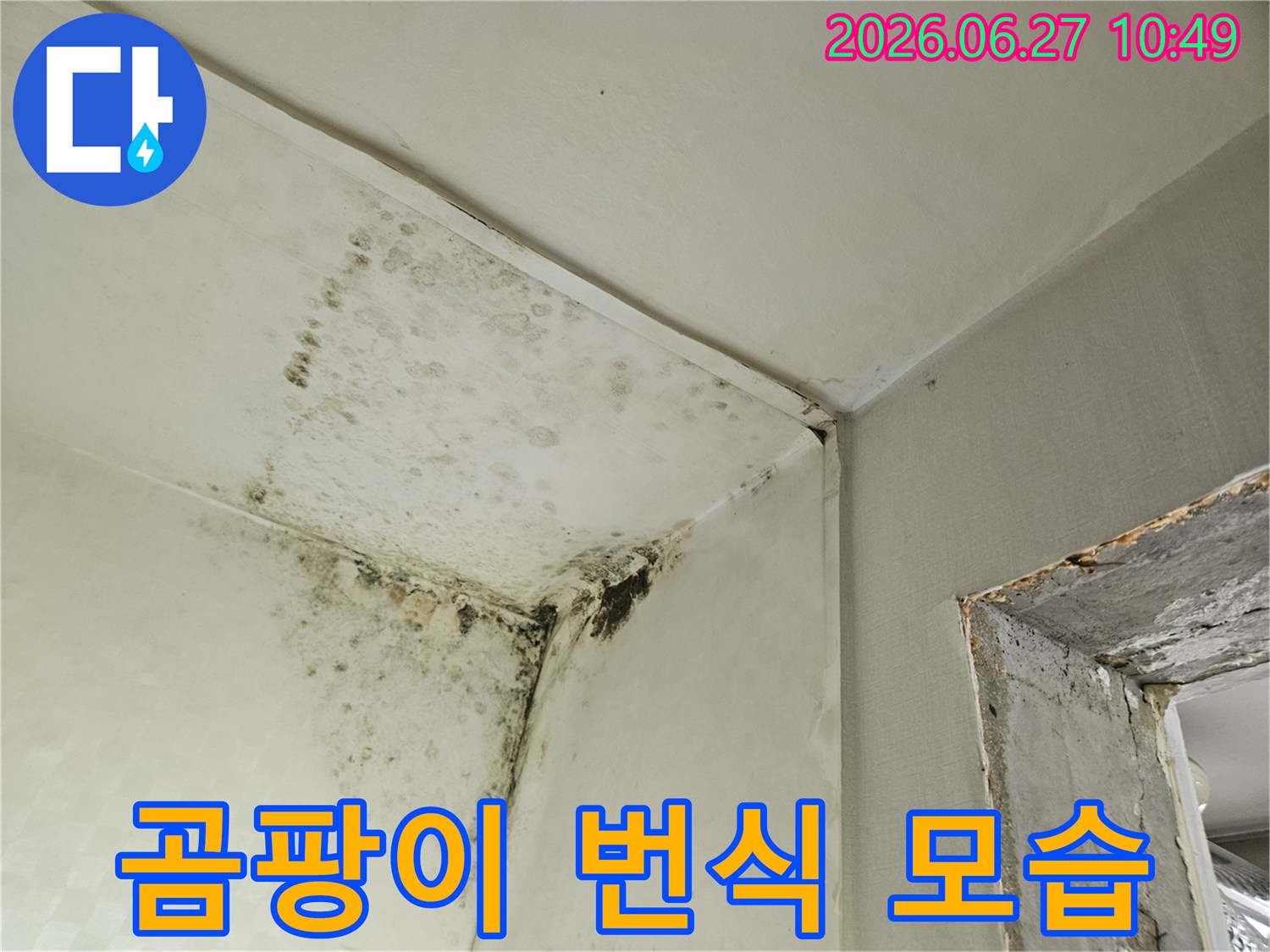 천장과 벽의 접합부에 생긴 검은색 곰팡이로-누수나 결로로 인한 습기 피해의 명확한 증거입니다-이는 주택 내부의 위생과 구조적 문제점을 보여줍니다.