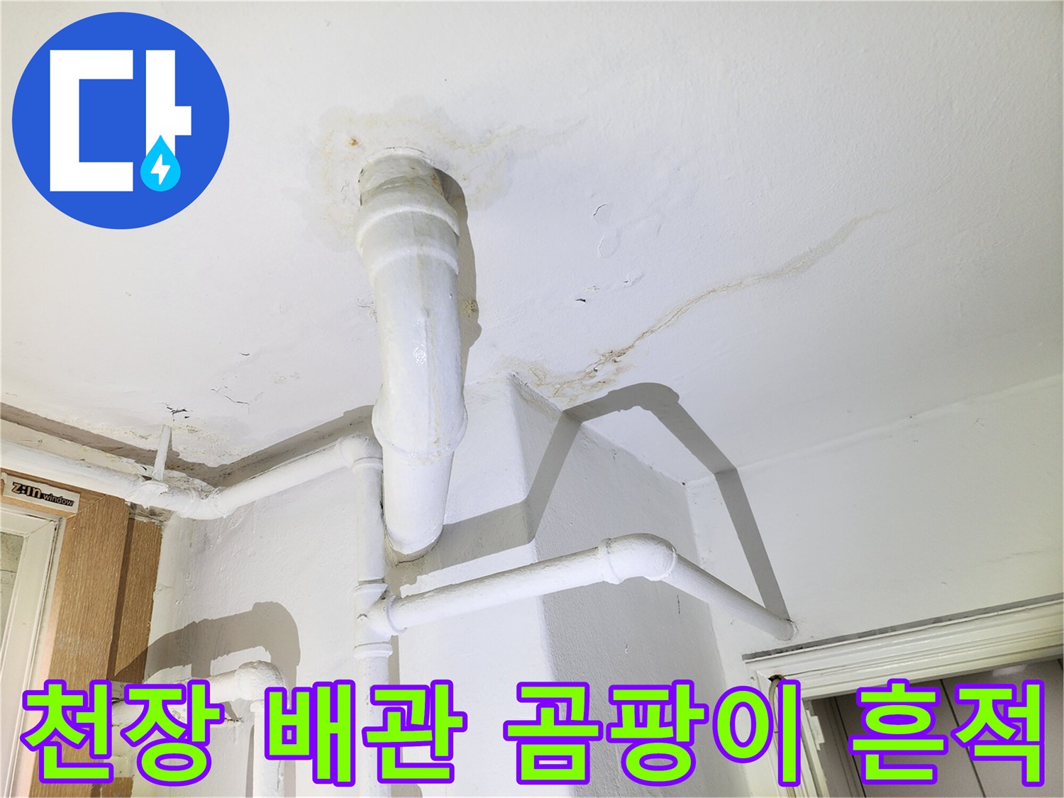 배관 주변 벽면과 천장에 발생한 곰팡이 및 누수 자국