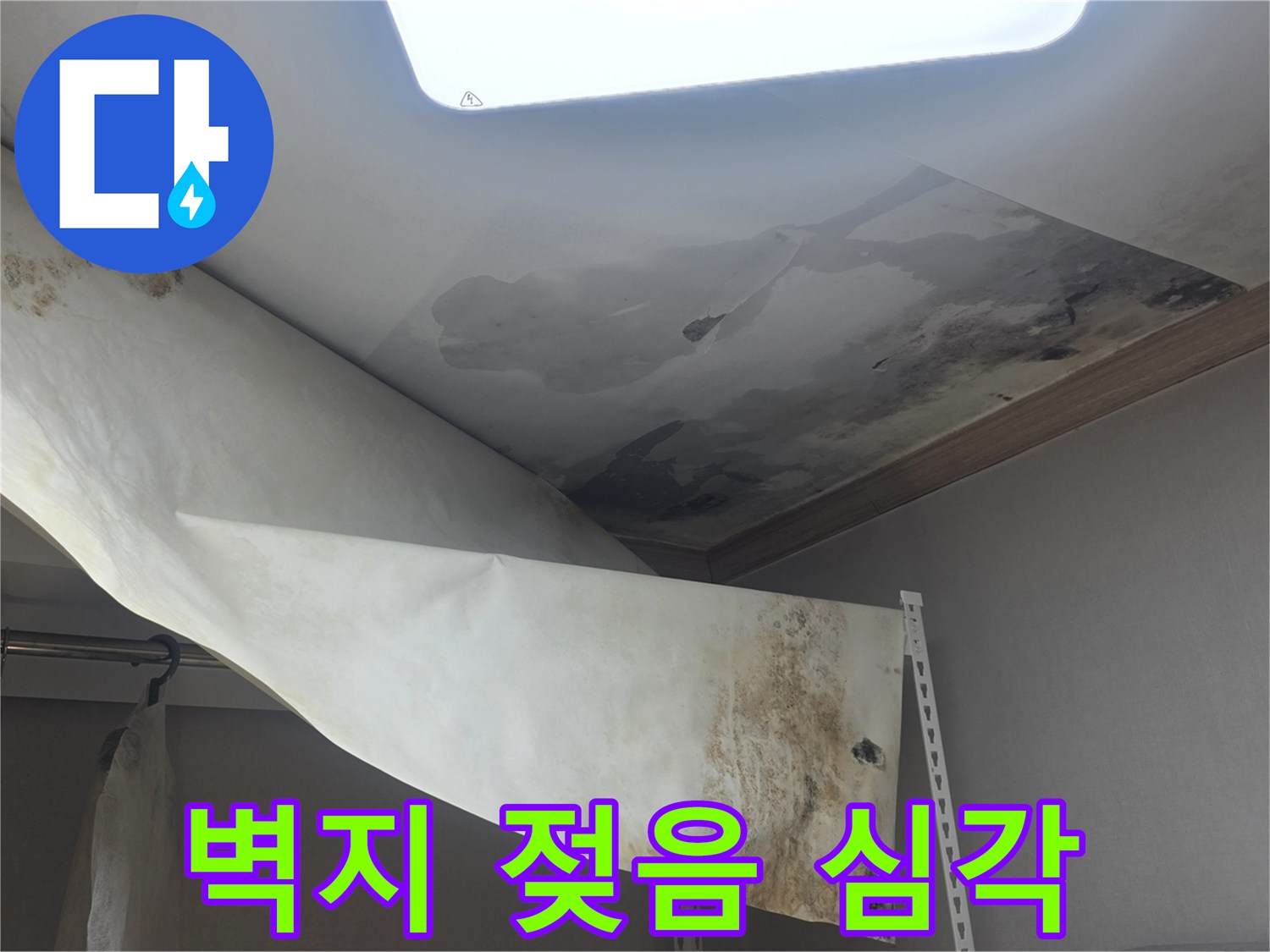 오랜 기간 방치된-천장 누수로 인해-벽지가 들뜨고-곰팡이가 번식한 현장입니다