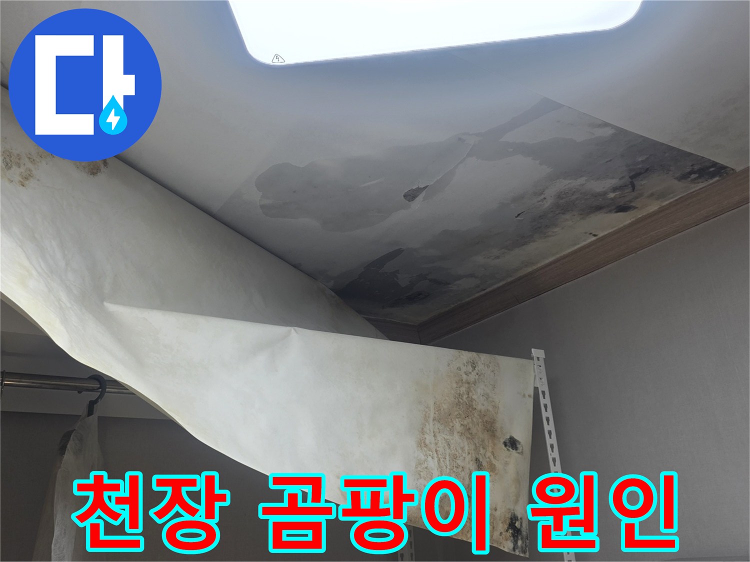 천장 벽지에 생긴-심한 곰팡이와-물에 젖어 떨어진-누수 피해 현장입니다