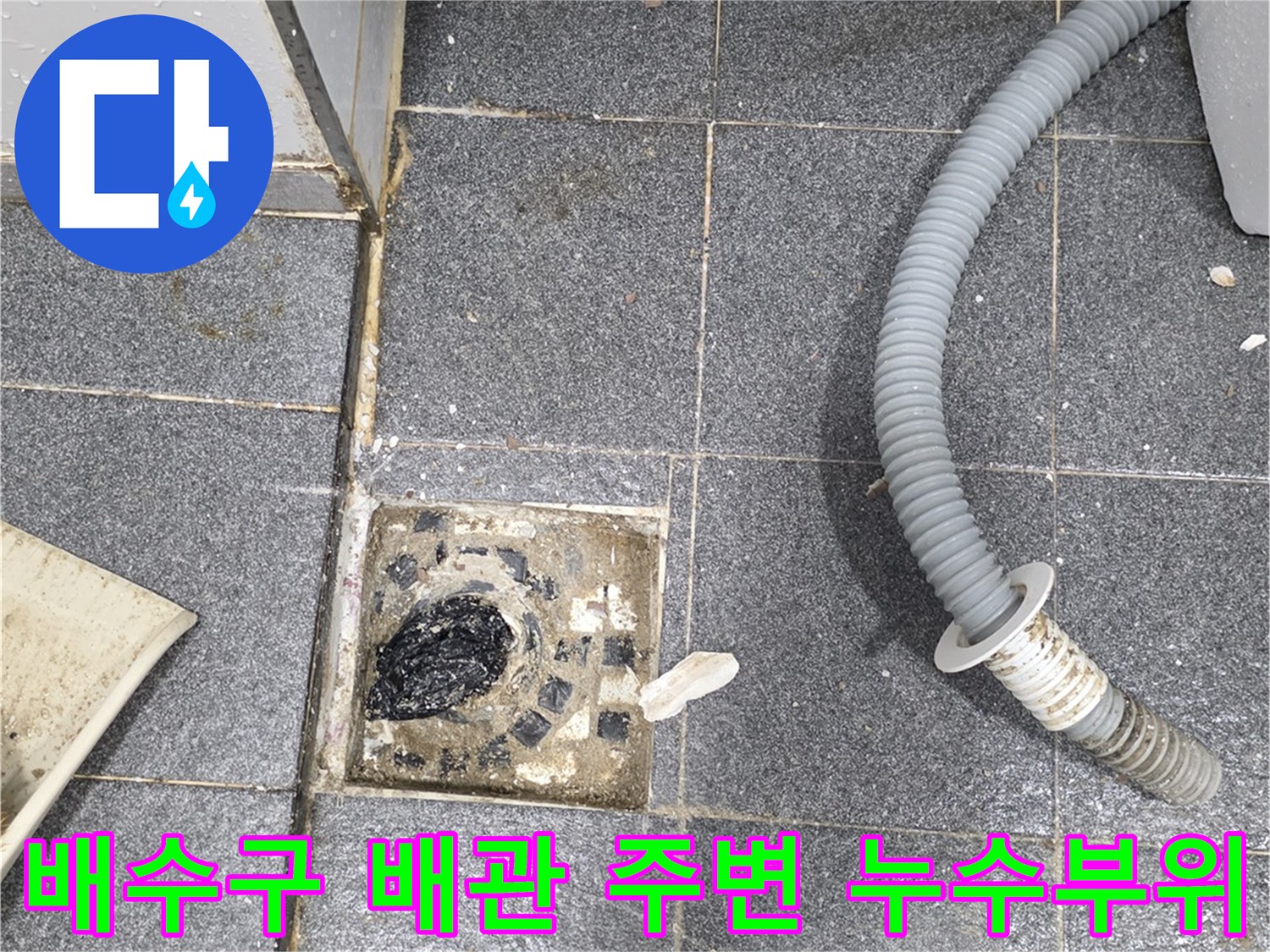 하수구 배관과 유가 사이의 물 고임 및 오염 상태를 촬영하였습니다.