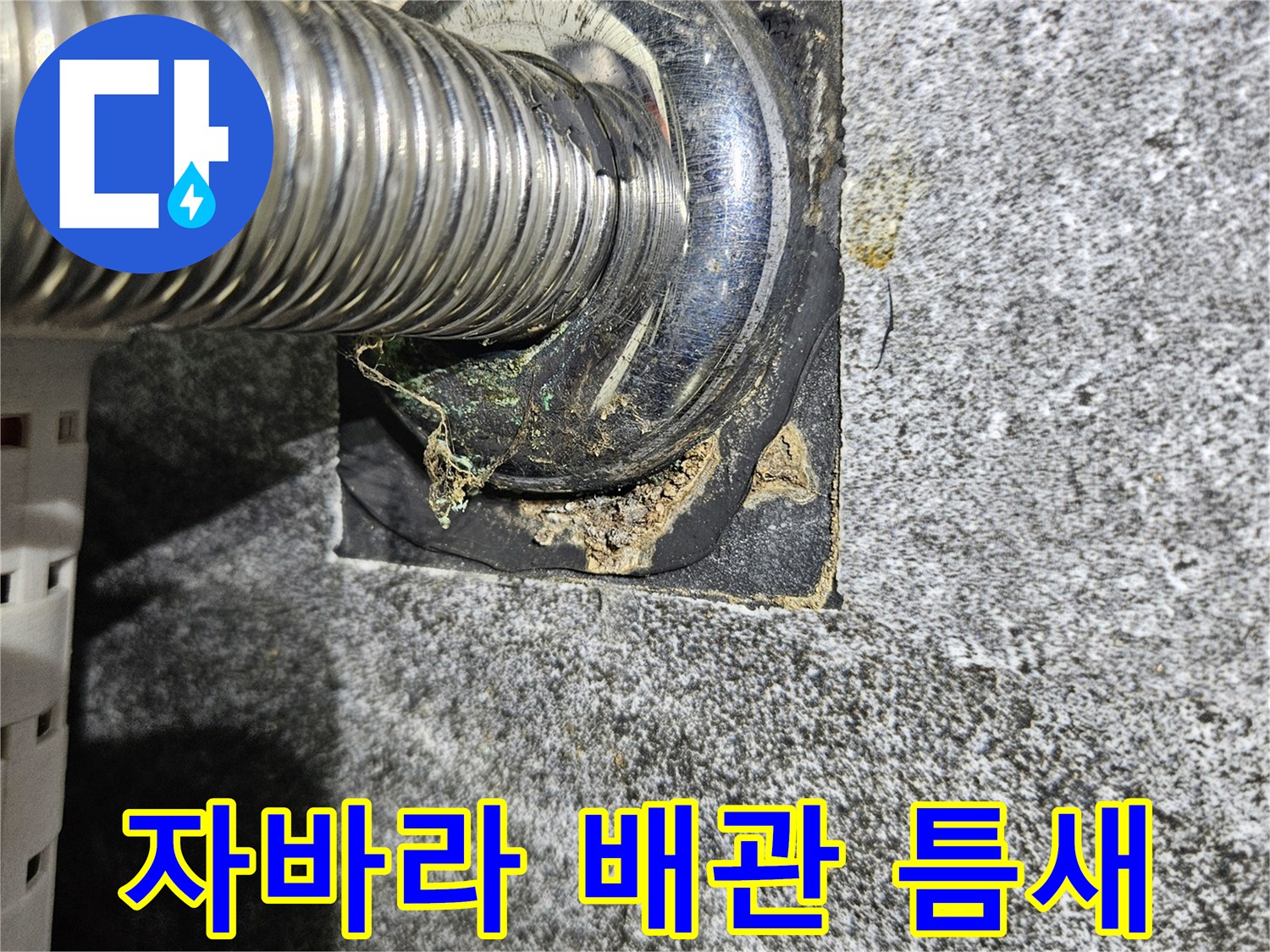 세면대-배출관-벽면-연결부-누수-상태-촬영