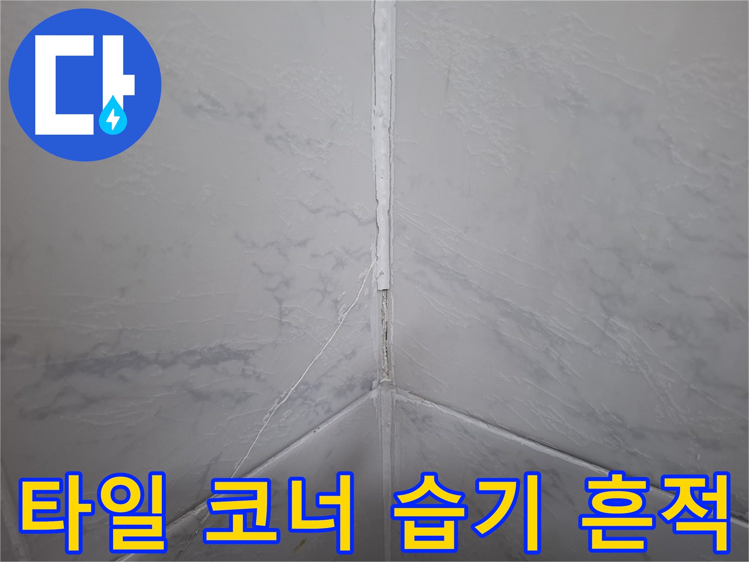 벽면 타일 접합부의 미세 균열 및 수분 노출 상태