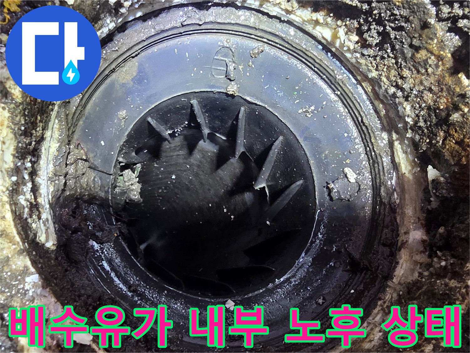 세탁실 배수 트랩 내부의 균열과 결함부 촬영