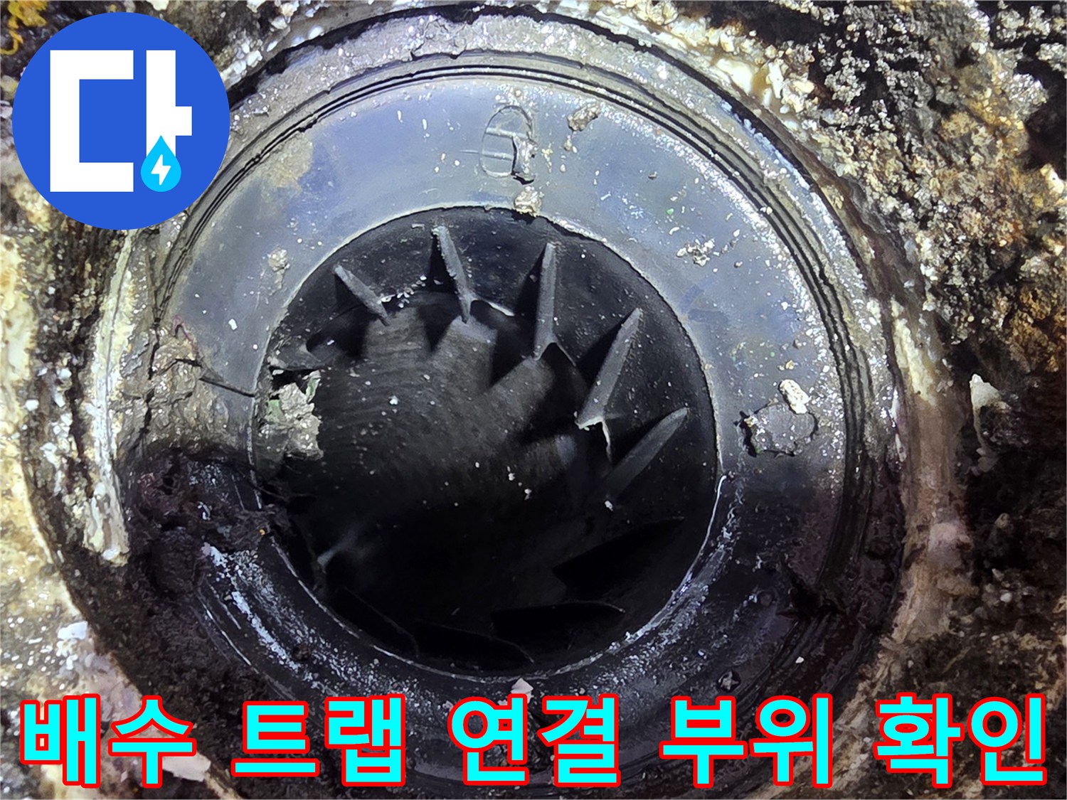 세탁실 배수거름망과 내부 트럼 구조물 점검
