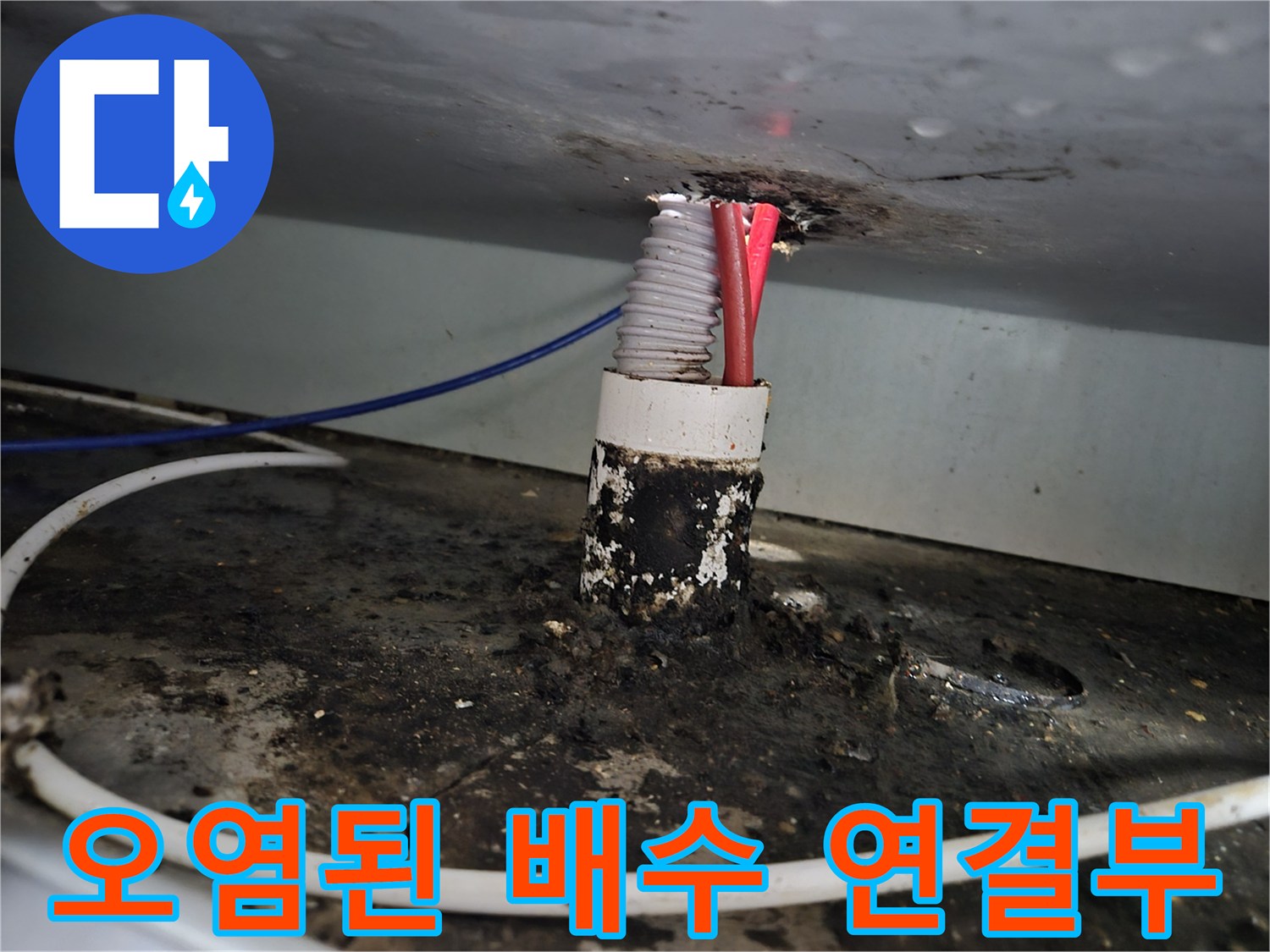 배관 연결 지점의 누수 흔적과 검은 곰팡이 오염