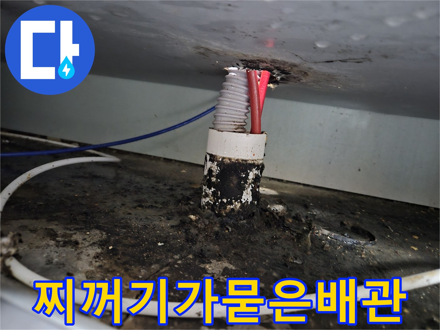 오염된-배관-연결부의-누수-상태
