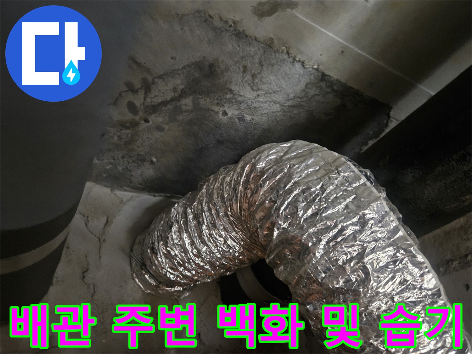 천장 콘크리트 면에 나타난 물 흐른 흔적과 백화 현상