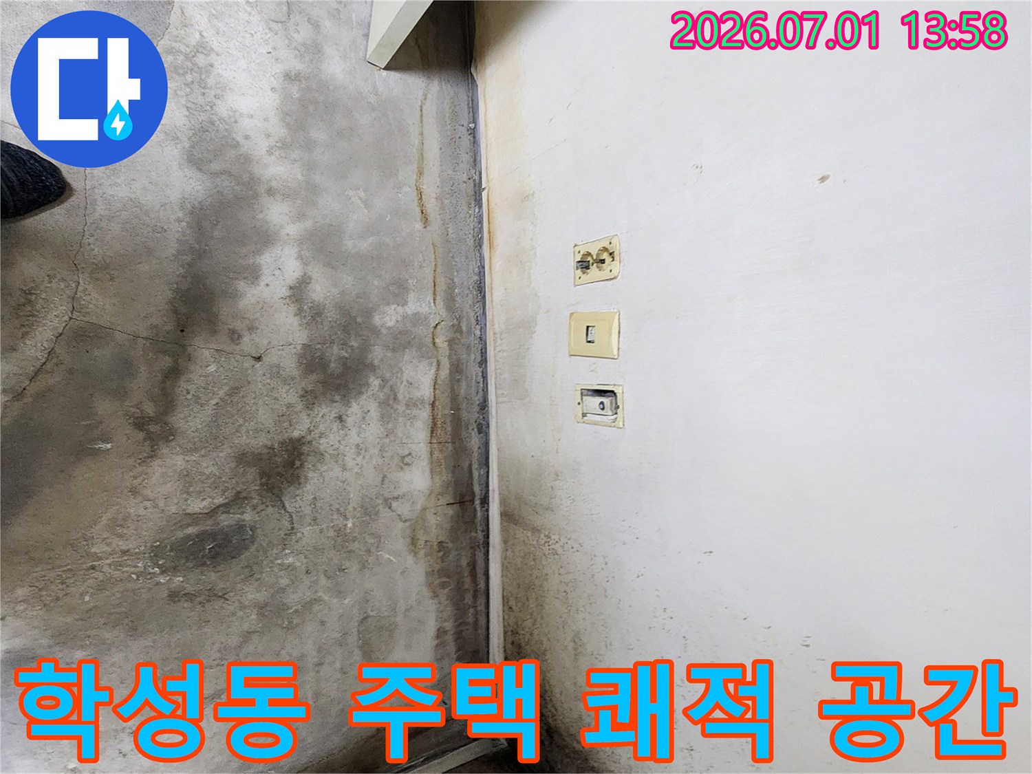 울산-학성동-주택-내부-벽면과-바닥에-누수로-인한-심각한-곰팡이와-오염이-발생한-현장-사진