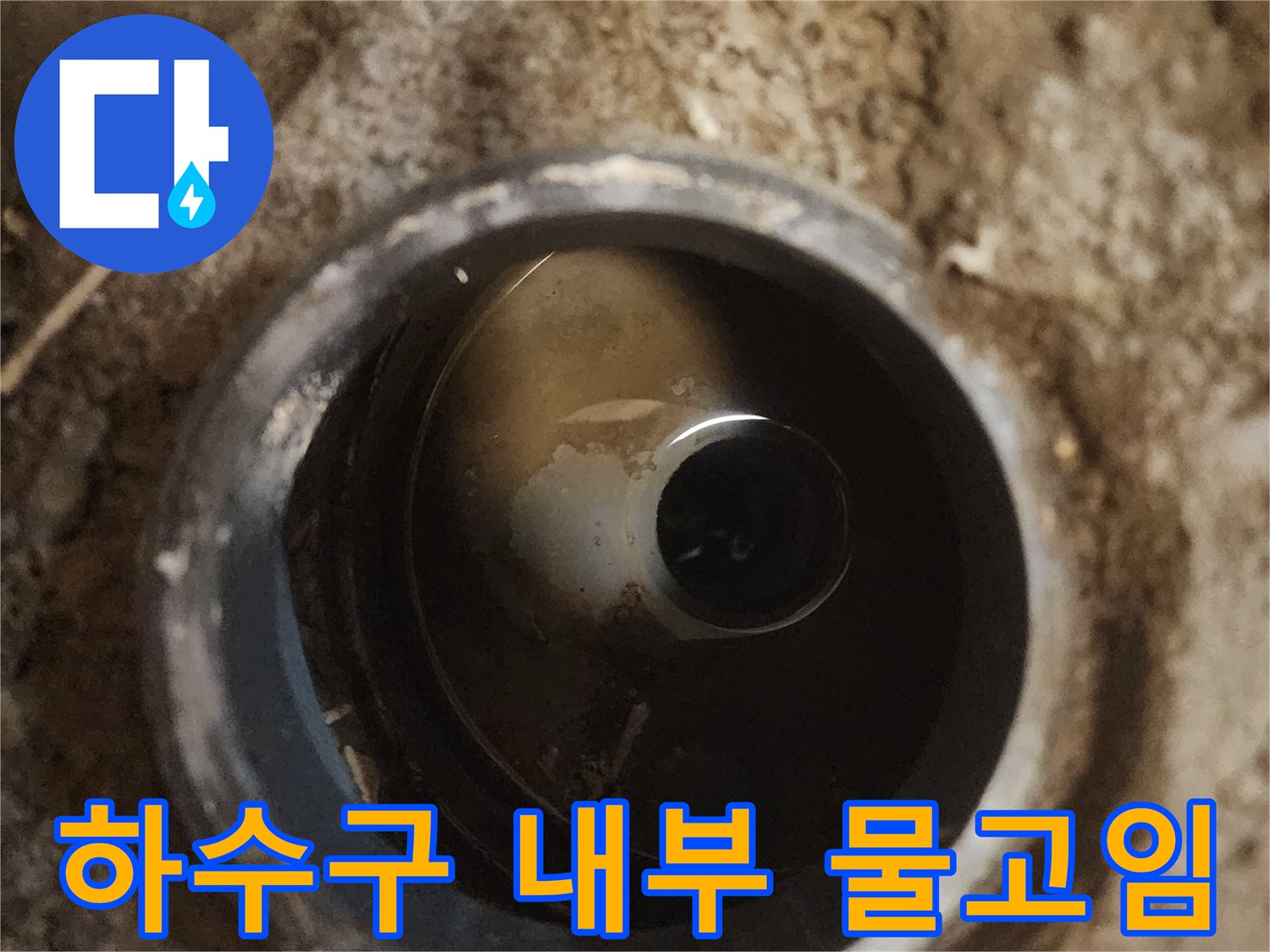 배수구-내부에-차있는-탁한-물과-배관-입구