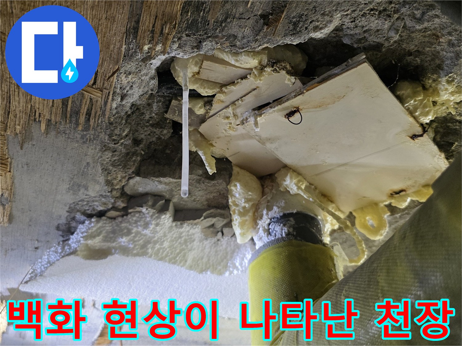 천장 슬래브 내부의 백화 현상과 젖은 콘크리트 부위