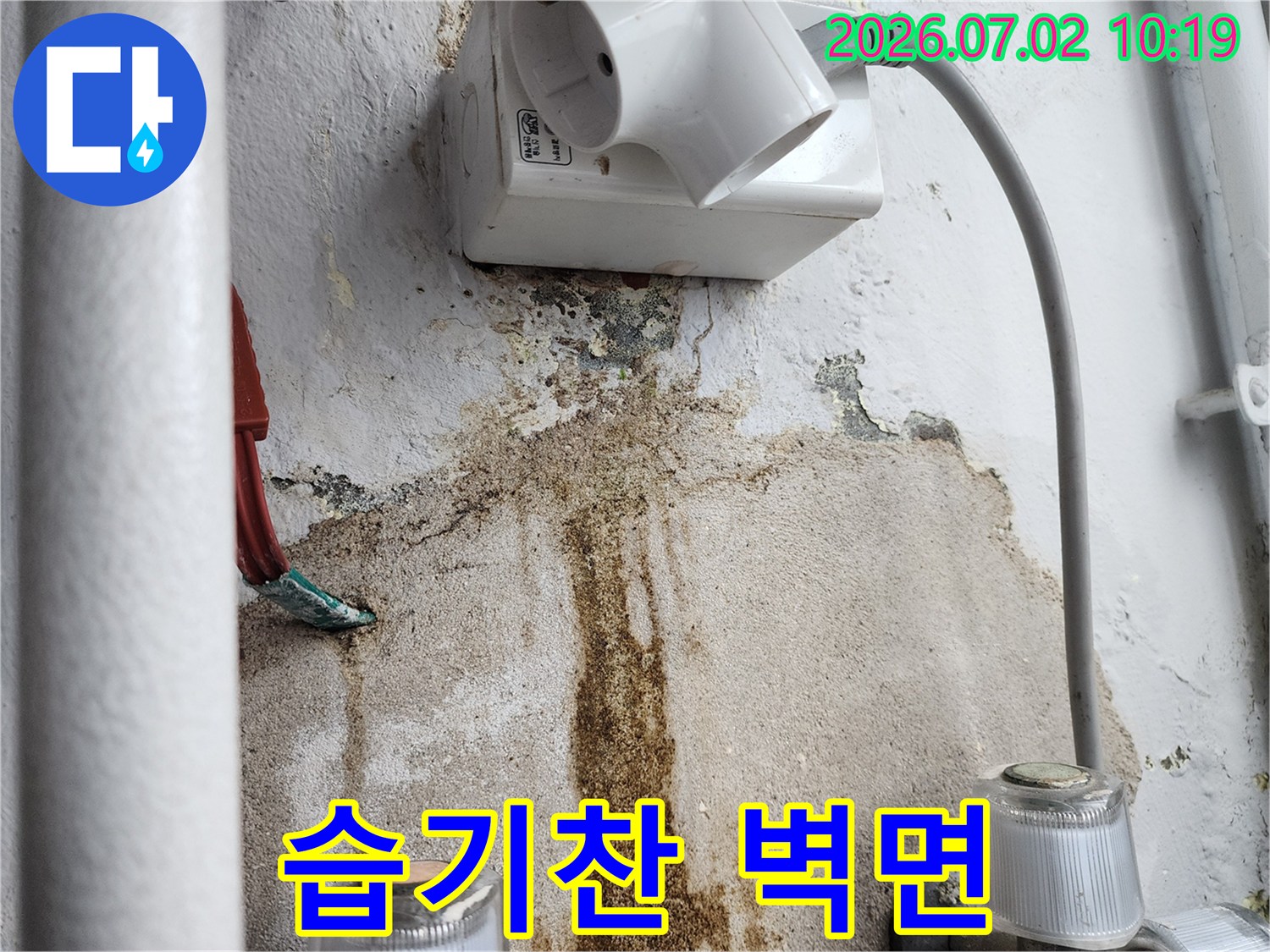 습기로-인해-벽지가-손상되고-곰팡이가-번진-모습