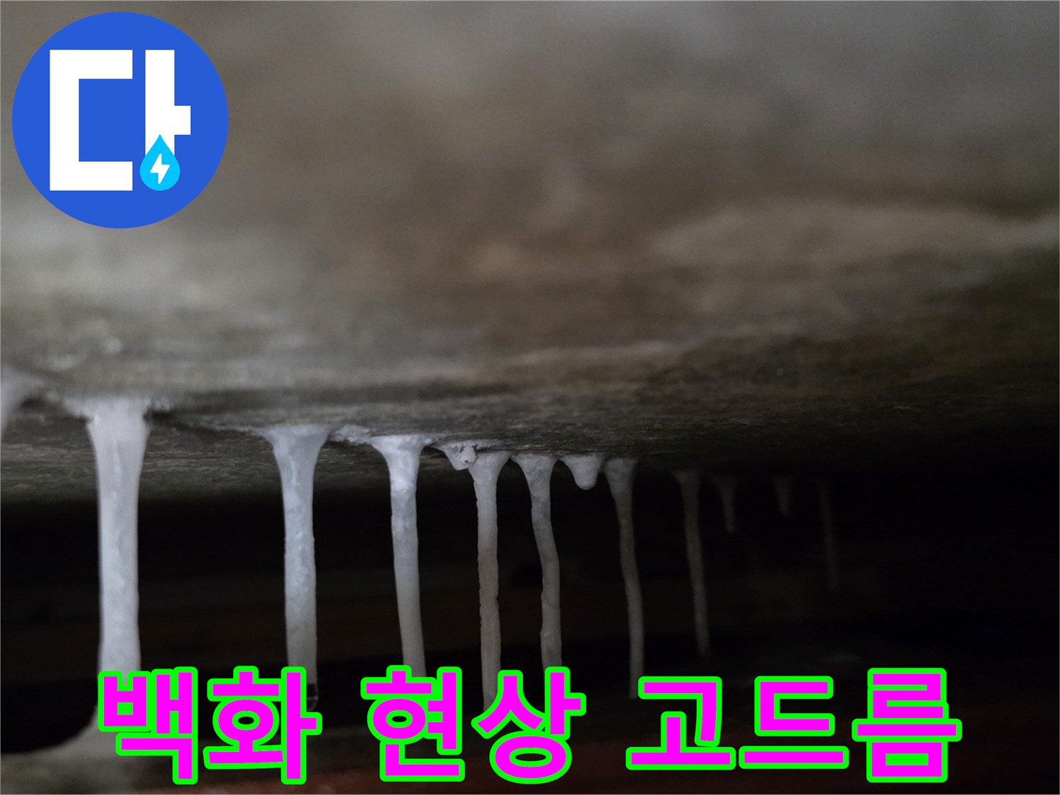 천장 내부에서 발견된 하얀 석회물 결정체
