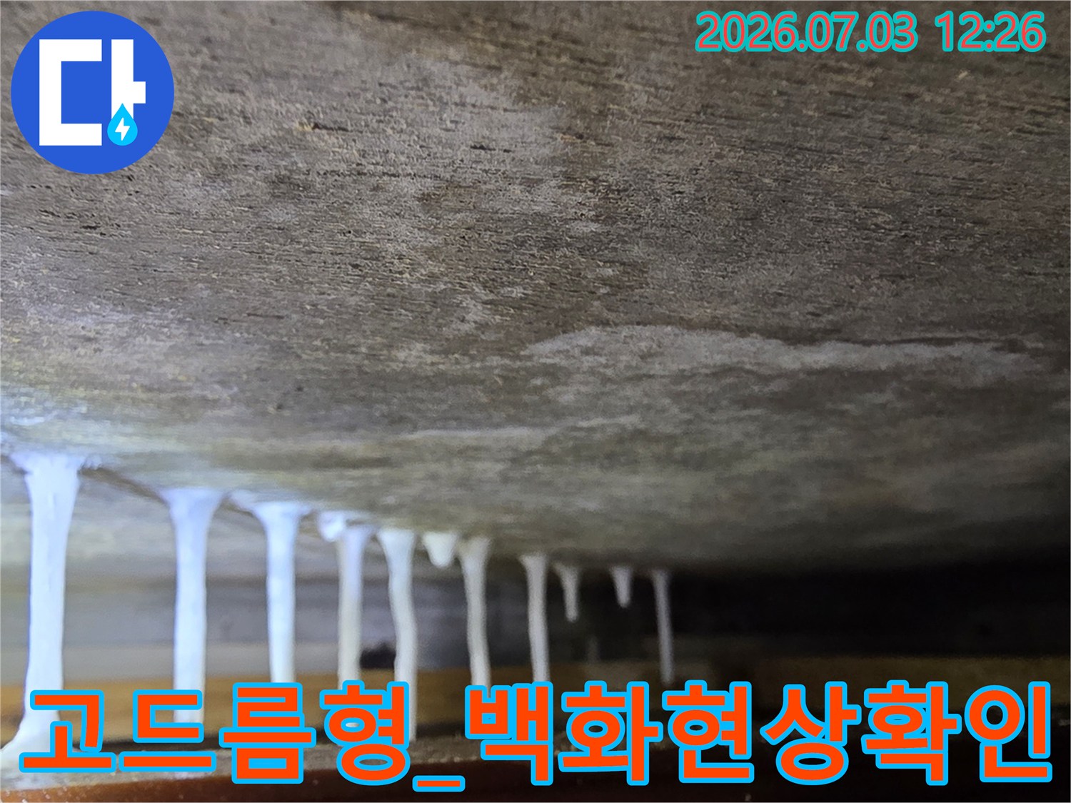 천장 면에 고드름 모양으로 굳어진 백화 현상을 촬영한 사진