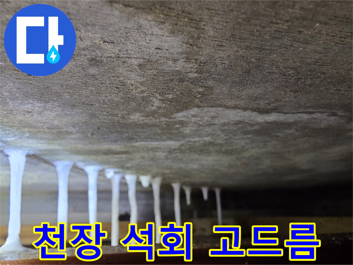 천장 하부에 형성된 백색의 석회물 고드름