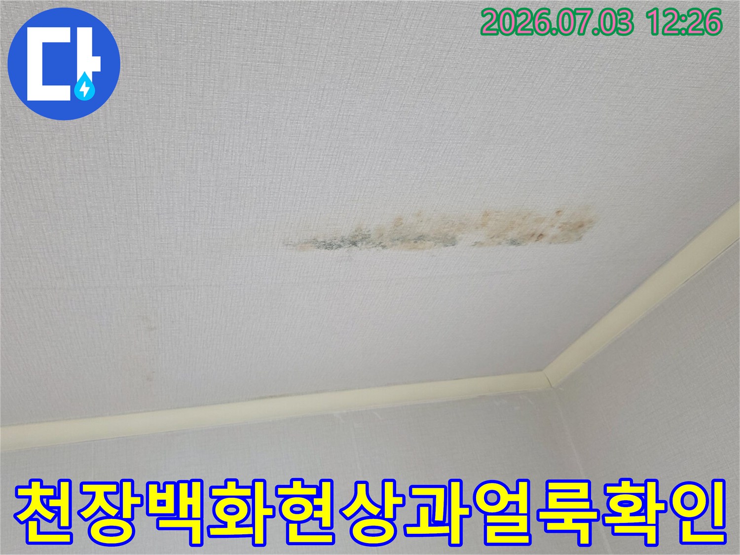 천장재질에 발생한 백화현상과 누수 얼룩 확인