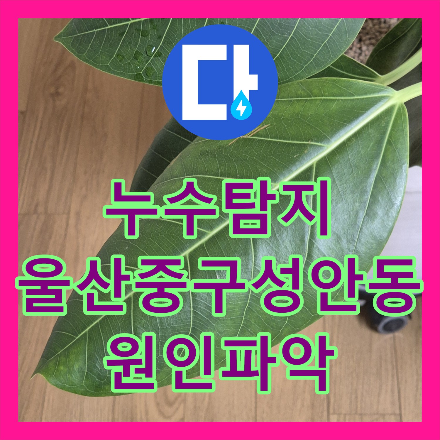 누수탐지 아랫층 주방 천장 물샘 원인을 하수구 역류로 밝혀낸 울산광역시 중구 성안동