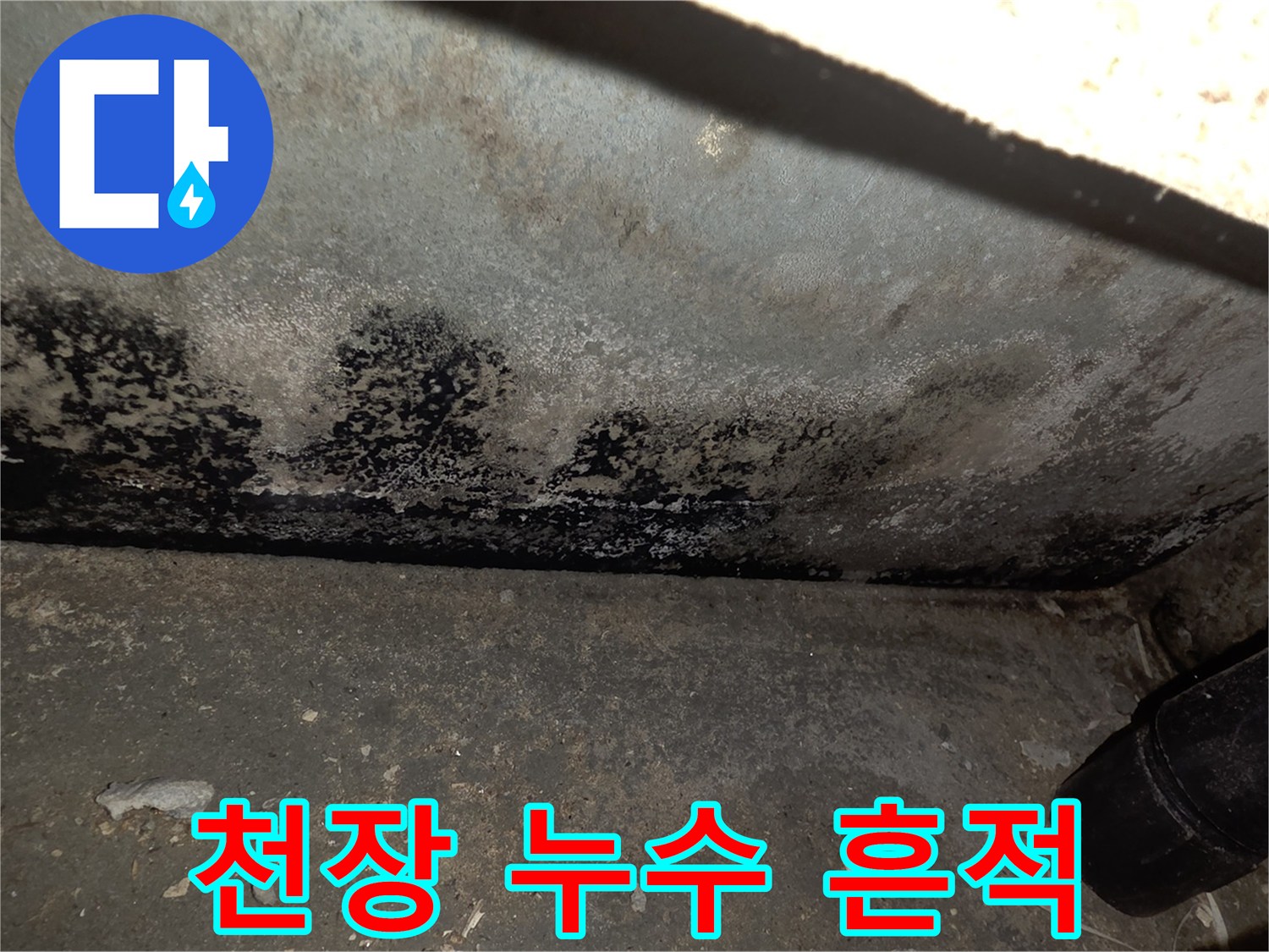 물샘으로 인해 검게 변한 천장 마감재 부위