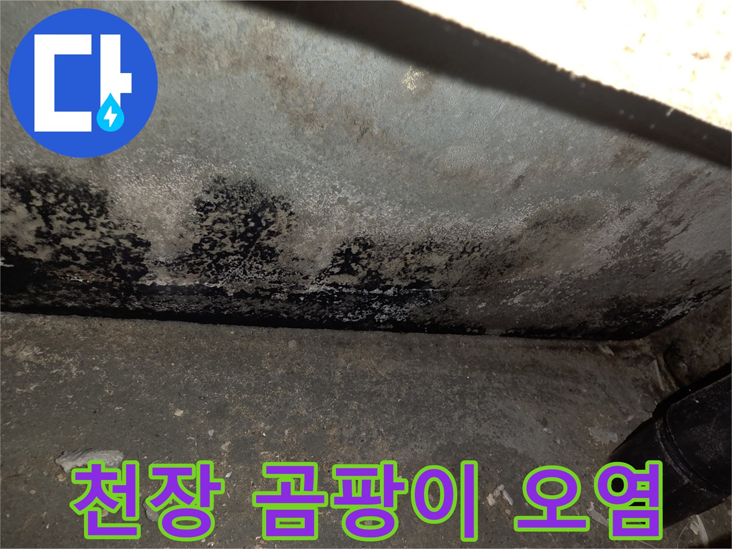 심하게-젖고-곰팡이가-핀-천장-벽지