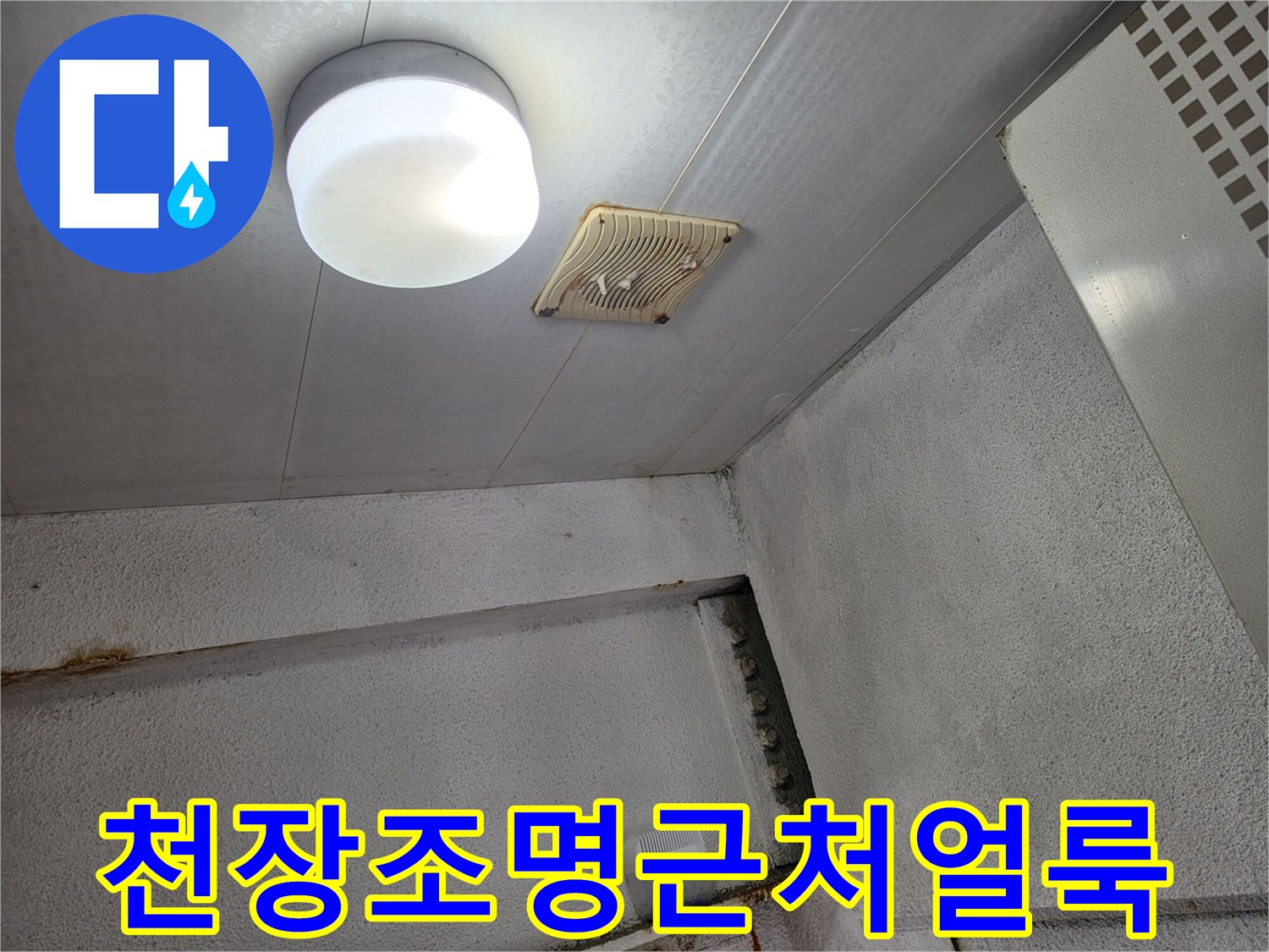 상가-건물-천장-조명-주변의-습기-오염