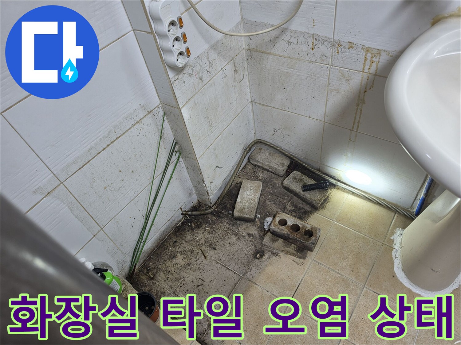 일산서구-상가-화장실-벽면-타일-황색-오염-및-곰팡이-현황