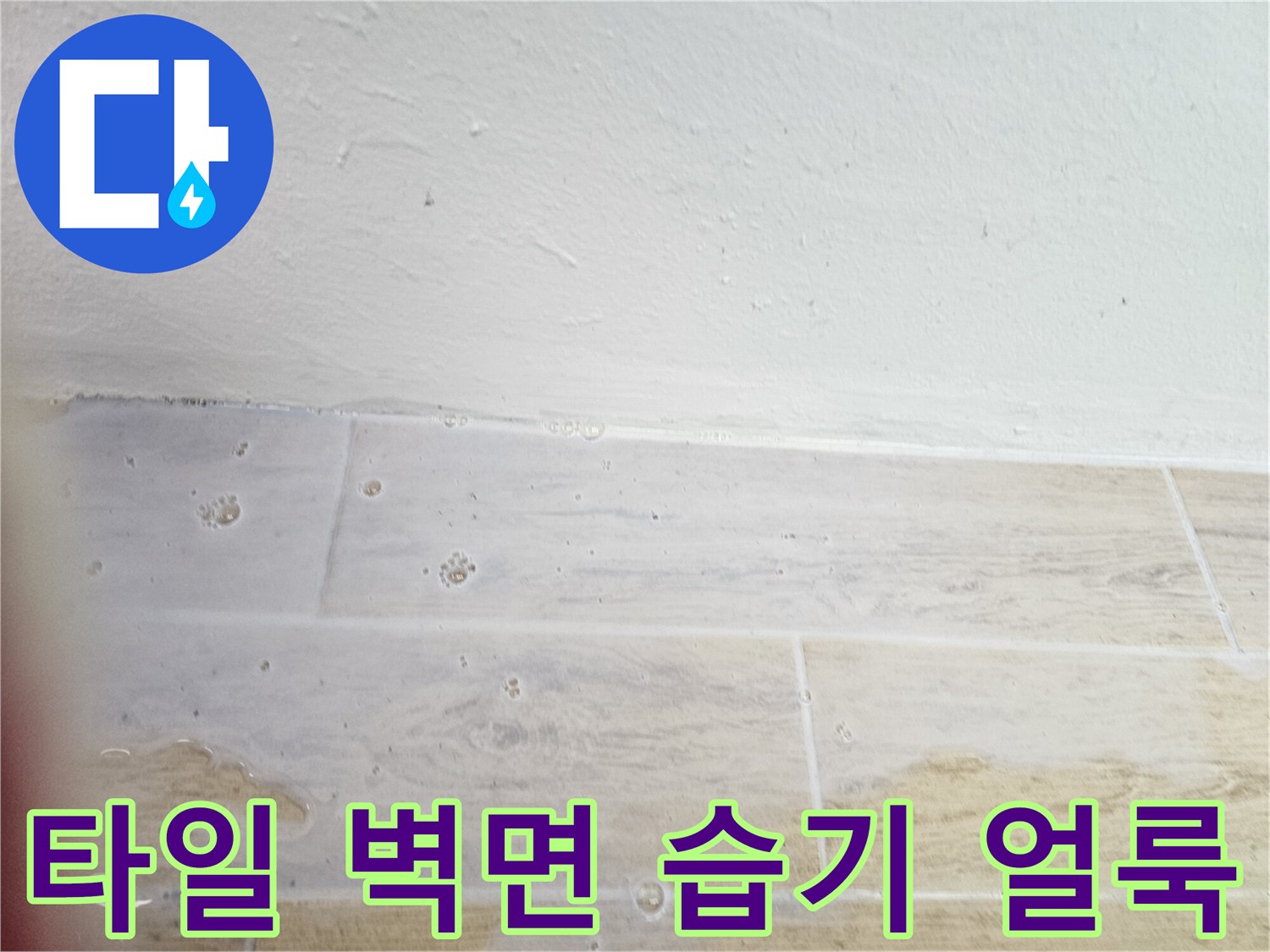 습기가 스며들어 얼룩진 베란다 타일 벽면