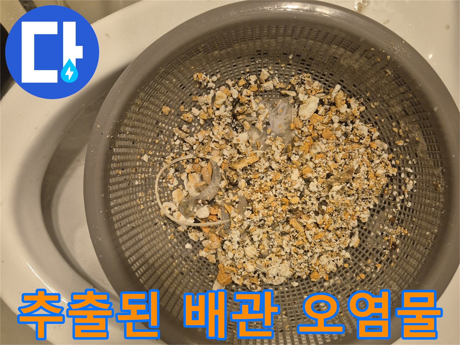 배관 청소 과정에서 수거된 음식물 찌꺼기와 기름 덩어리
