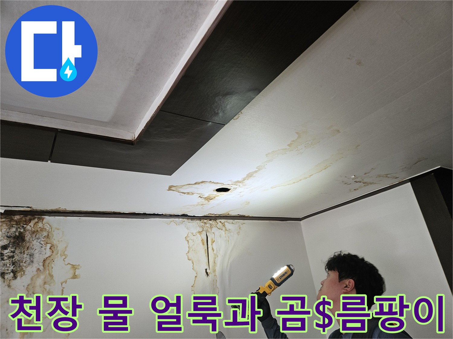 성북구-정릉동-아래층-천장-물-얼룩-및-곰팡이-상태
