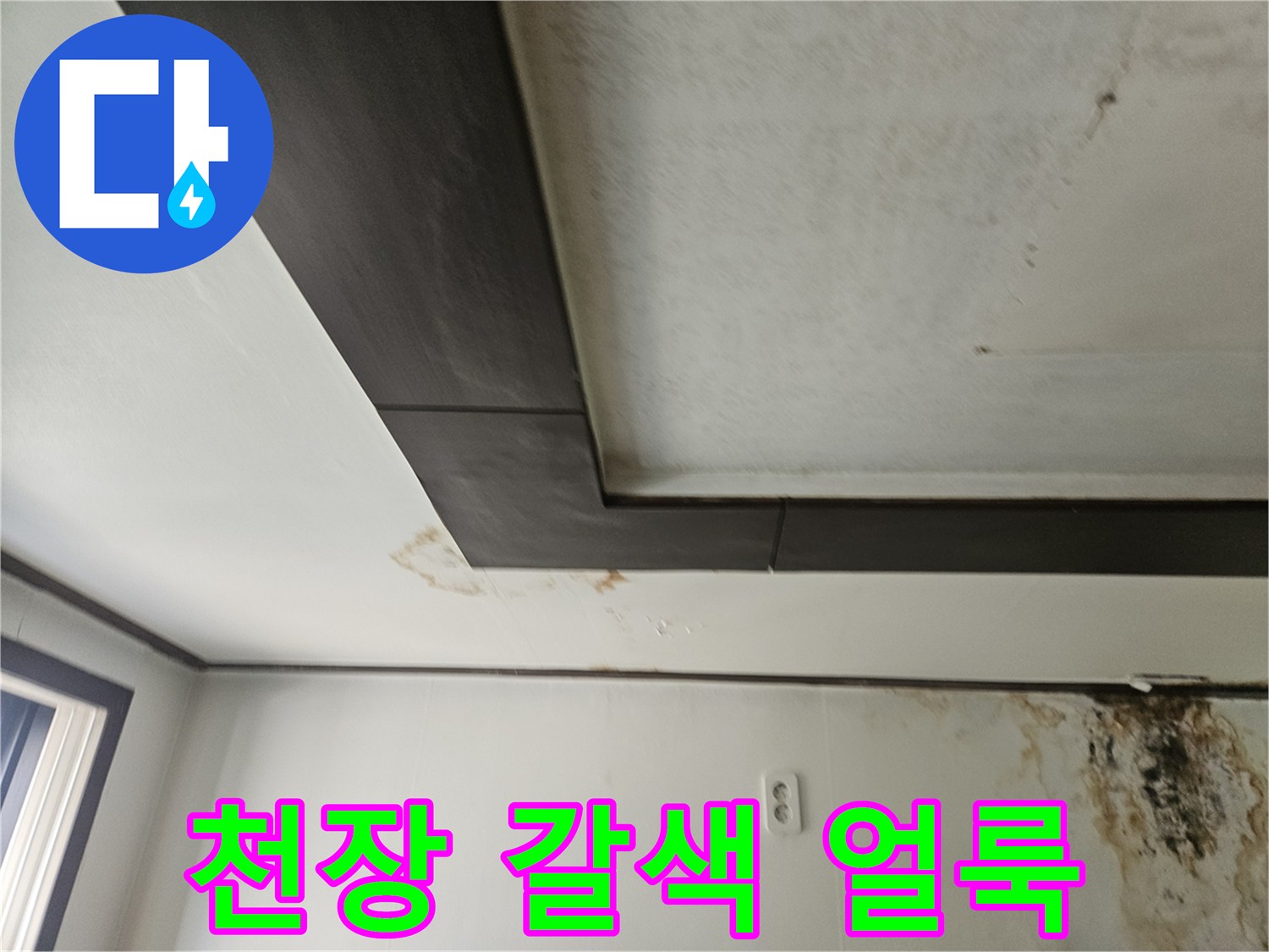 아래층 거주 공간-천장 몰딩 부근의 물자국과 곰팡이