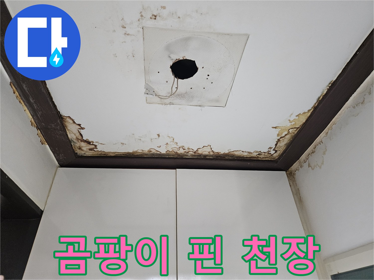 아래층 천장 마감재-습기로 인한 곰팡이와 오염 부위