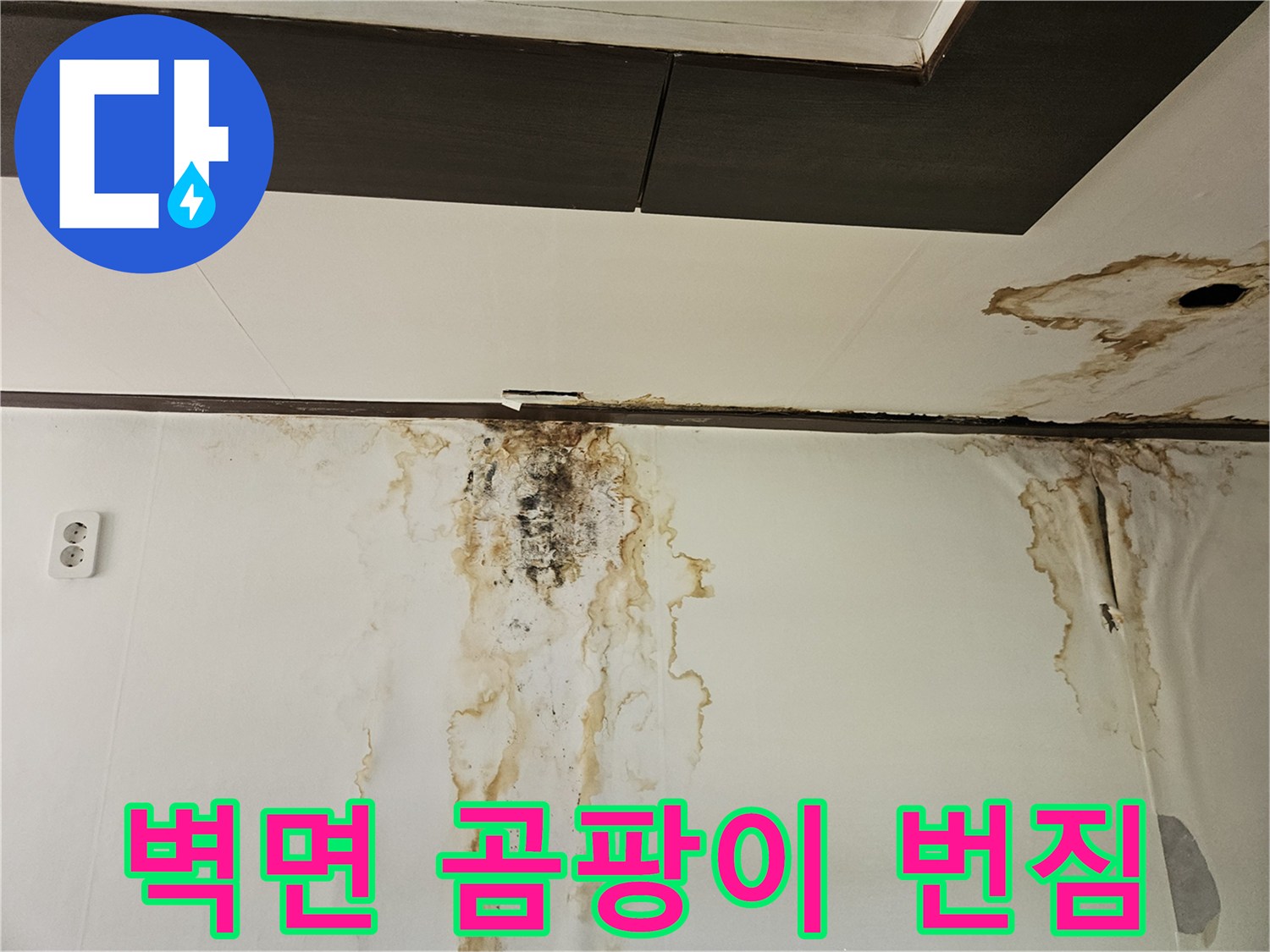 천장재와 벽면 경계 부위의 심각한 수분 침투 흔적