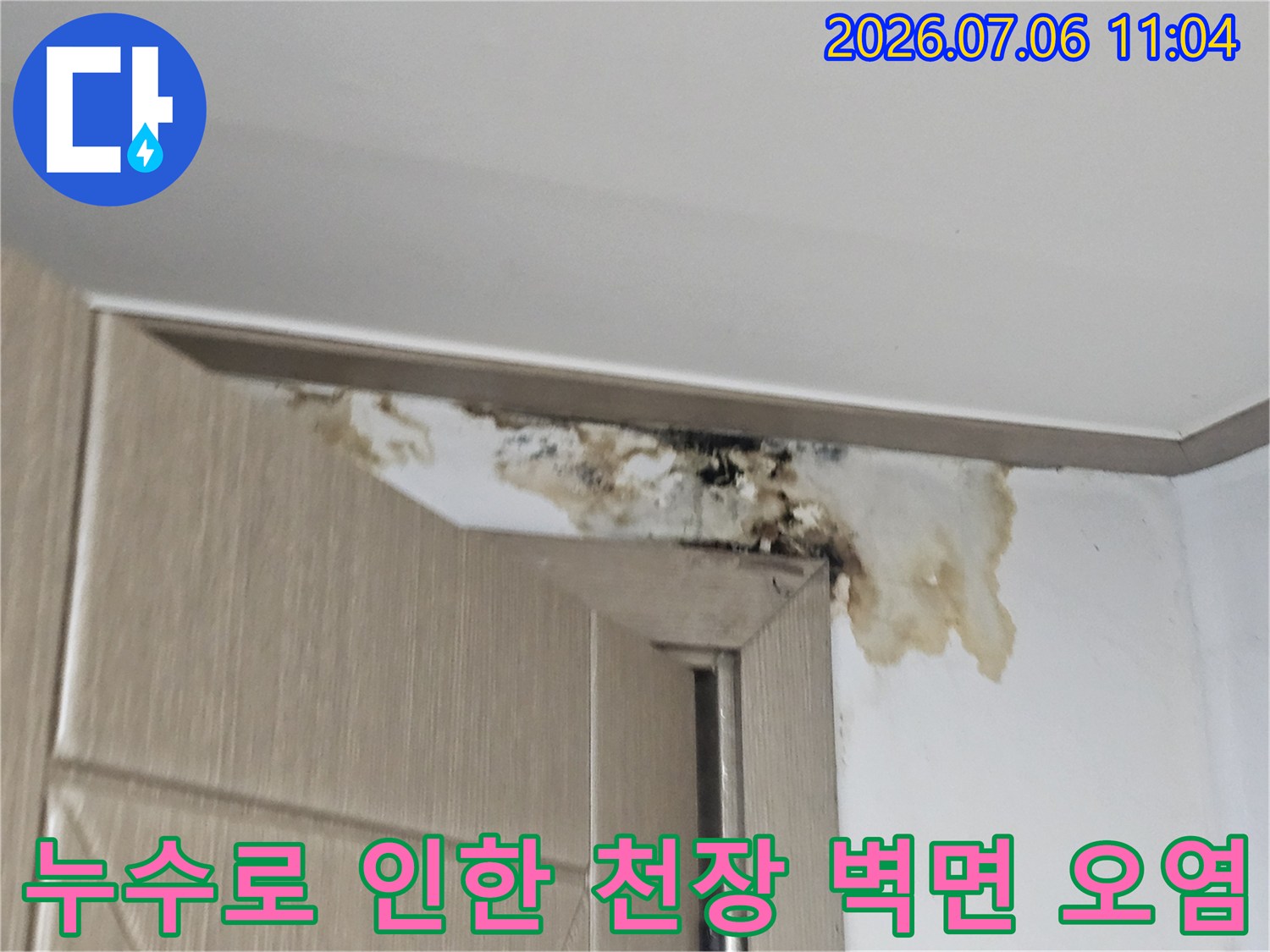 지하 공간 천장 마감재에 발생한 누수 피해 및 곰팡이 흔적