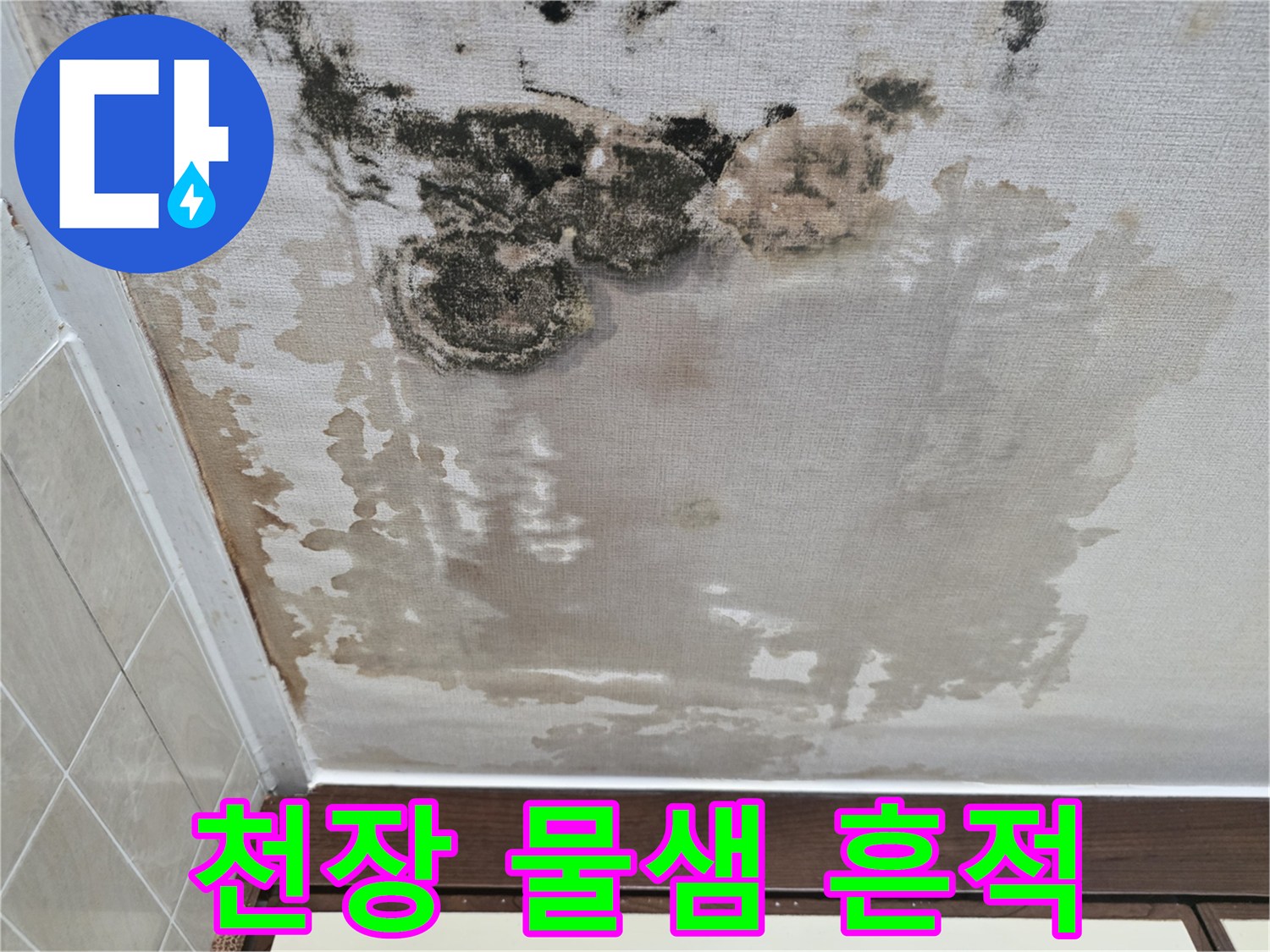 곰팡이와-물자국으로-오염된-아파트-천장-벽지