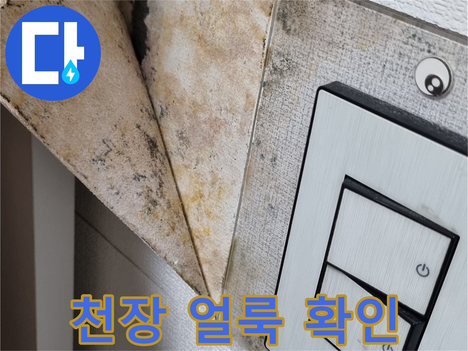 습기로 인해 훼손된 천장 스위치 주변부