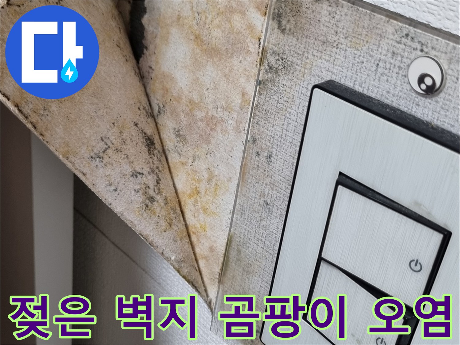 심하게 변색된 천장 벽지와 스위치 주변의 습기 흔적