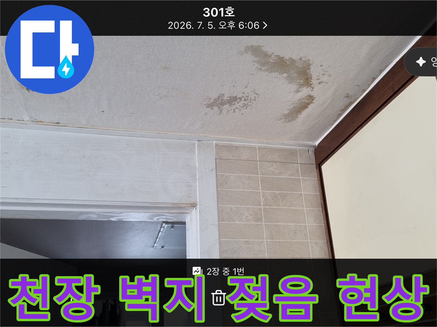 아파트 내부 천장-곰팡이로 오염된 벽지 표면
