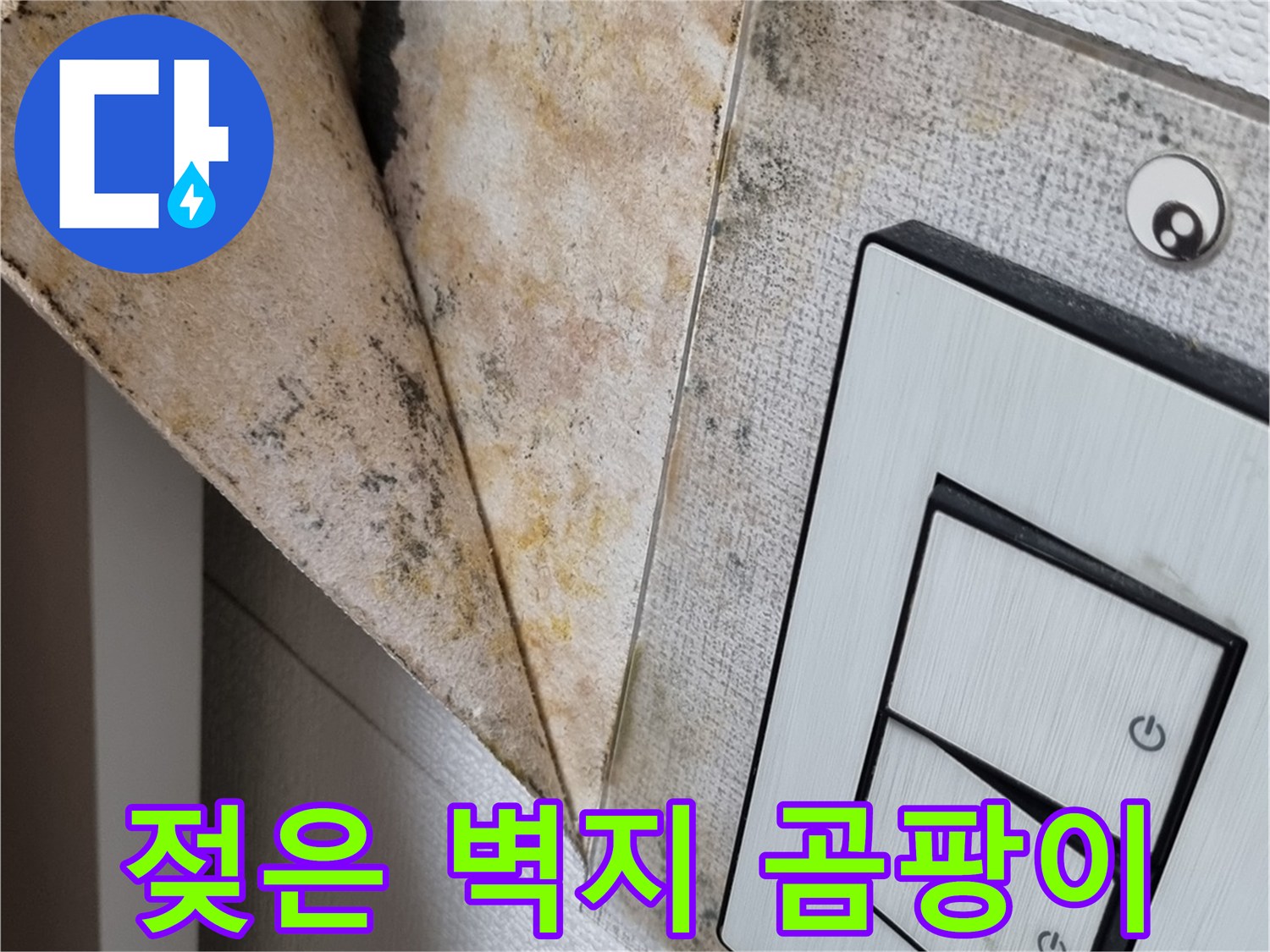 천장 콘센트 주변의 습기 머금은 벽지 상태