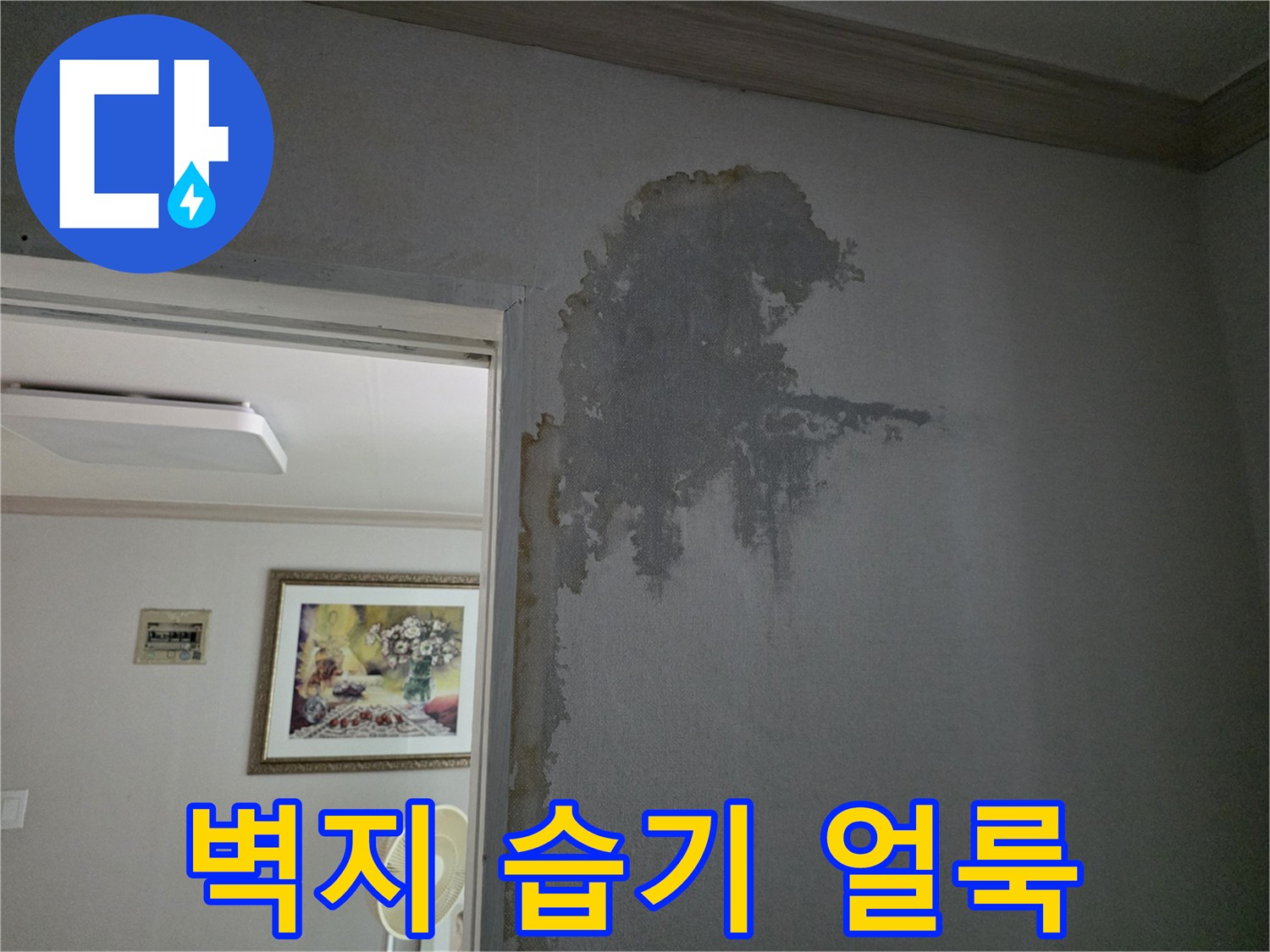 벽지 표면에 나타난 커다란 물자국과 얼룩