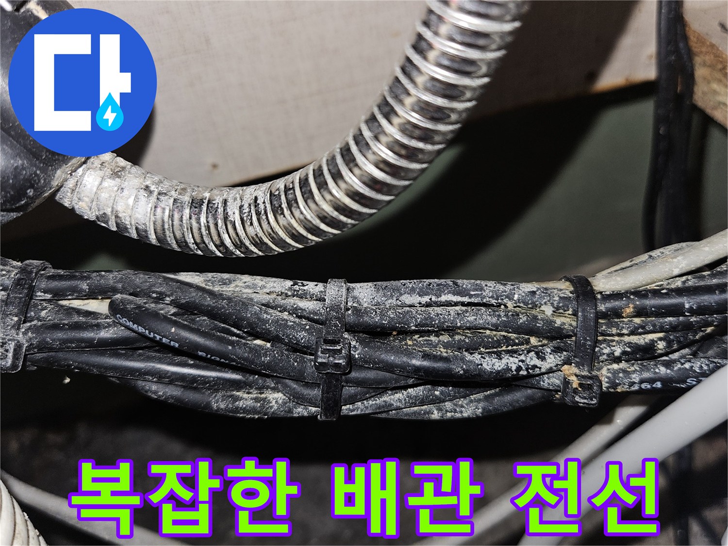 금호동 아파트 내부의 복잡하게 얽힌 전선과 배관 모습