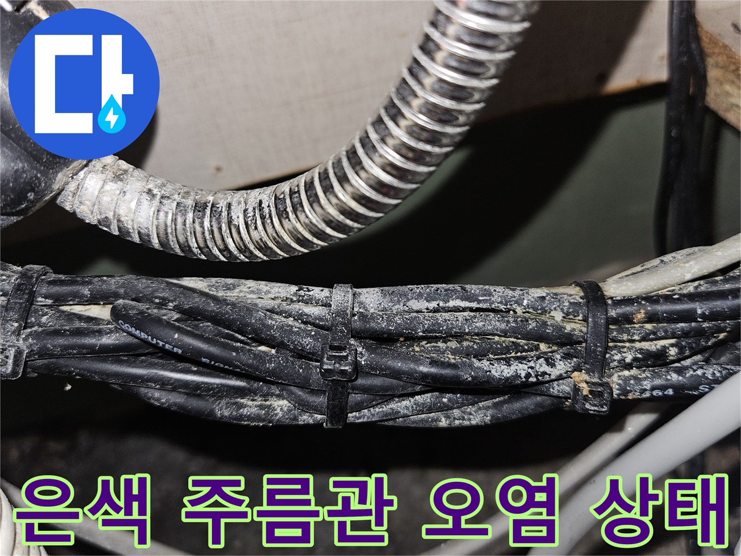 습기에 노출된 은색 주름관과 전선 뭉치