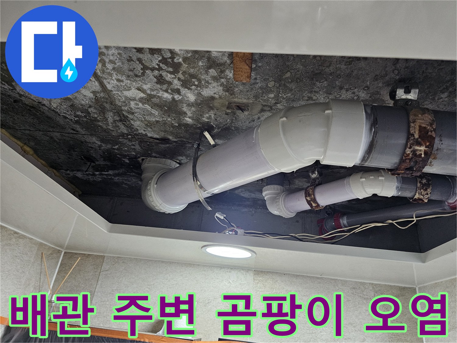 습기로-오염된-천장-및-하수도-연결-부위