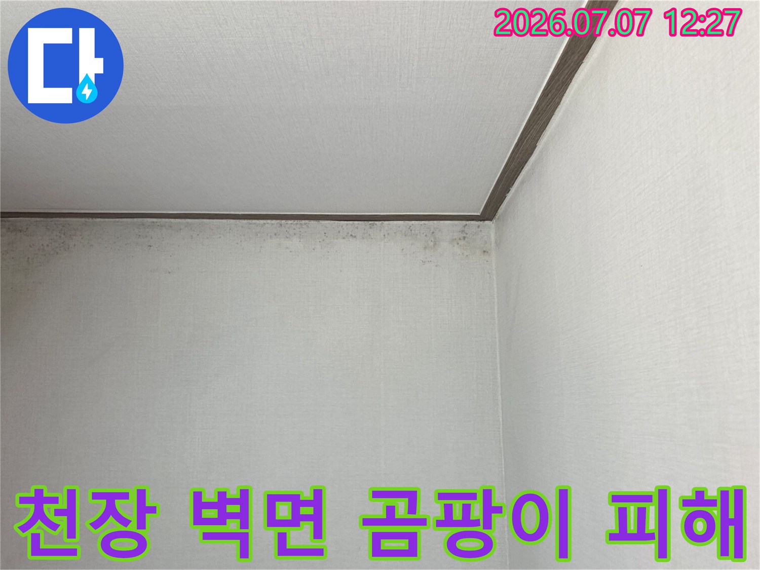 벽면 상단부에 발생한 누수로 인한 곰팡이와 천장 얼룩 현황