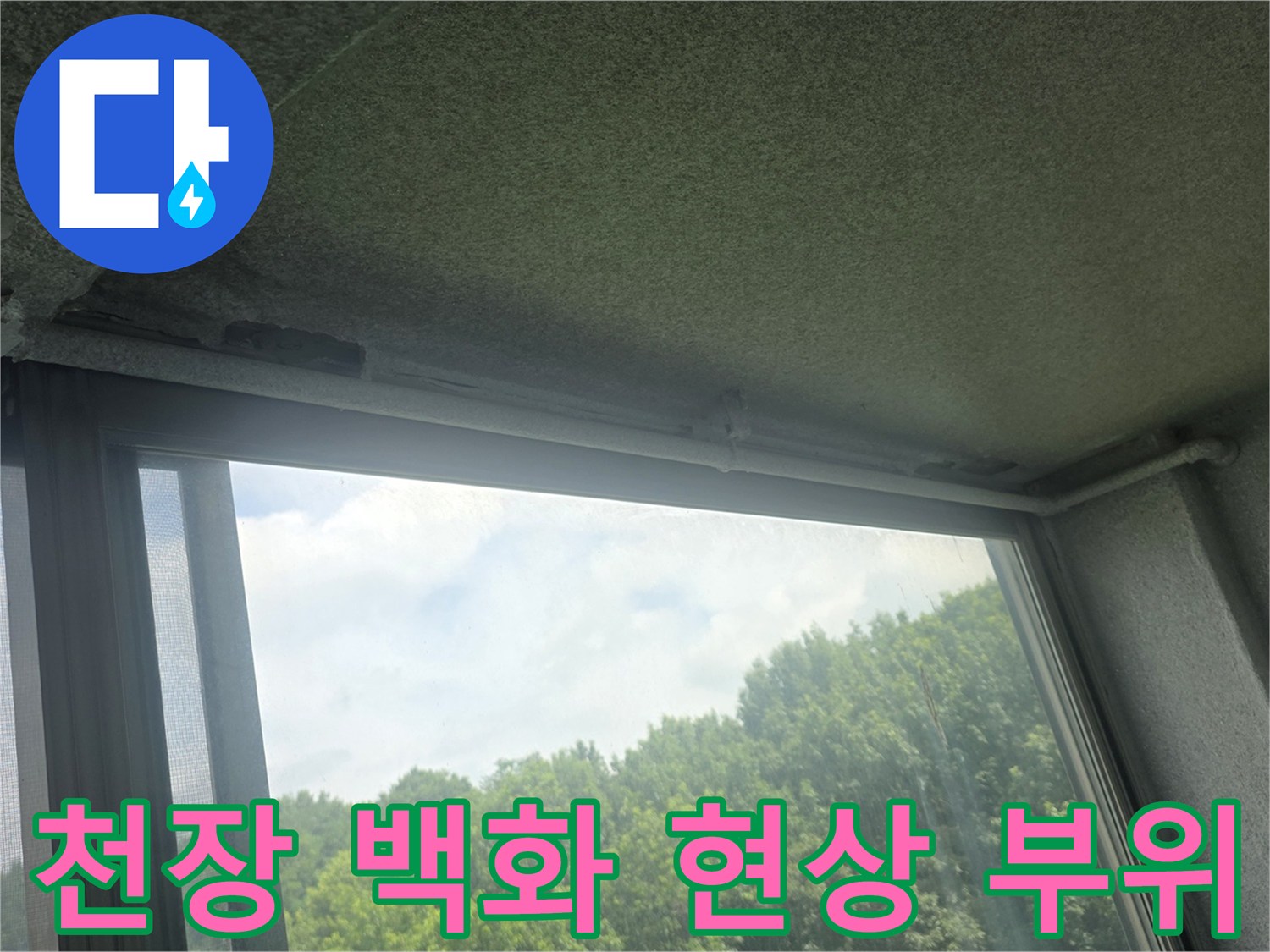 이천 사동리 현장-천장 콘크리트의 백화 및 박리 증상