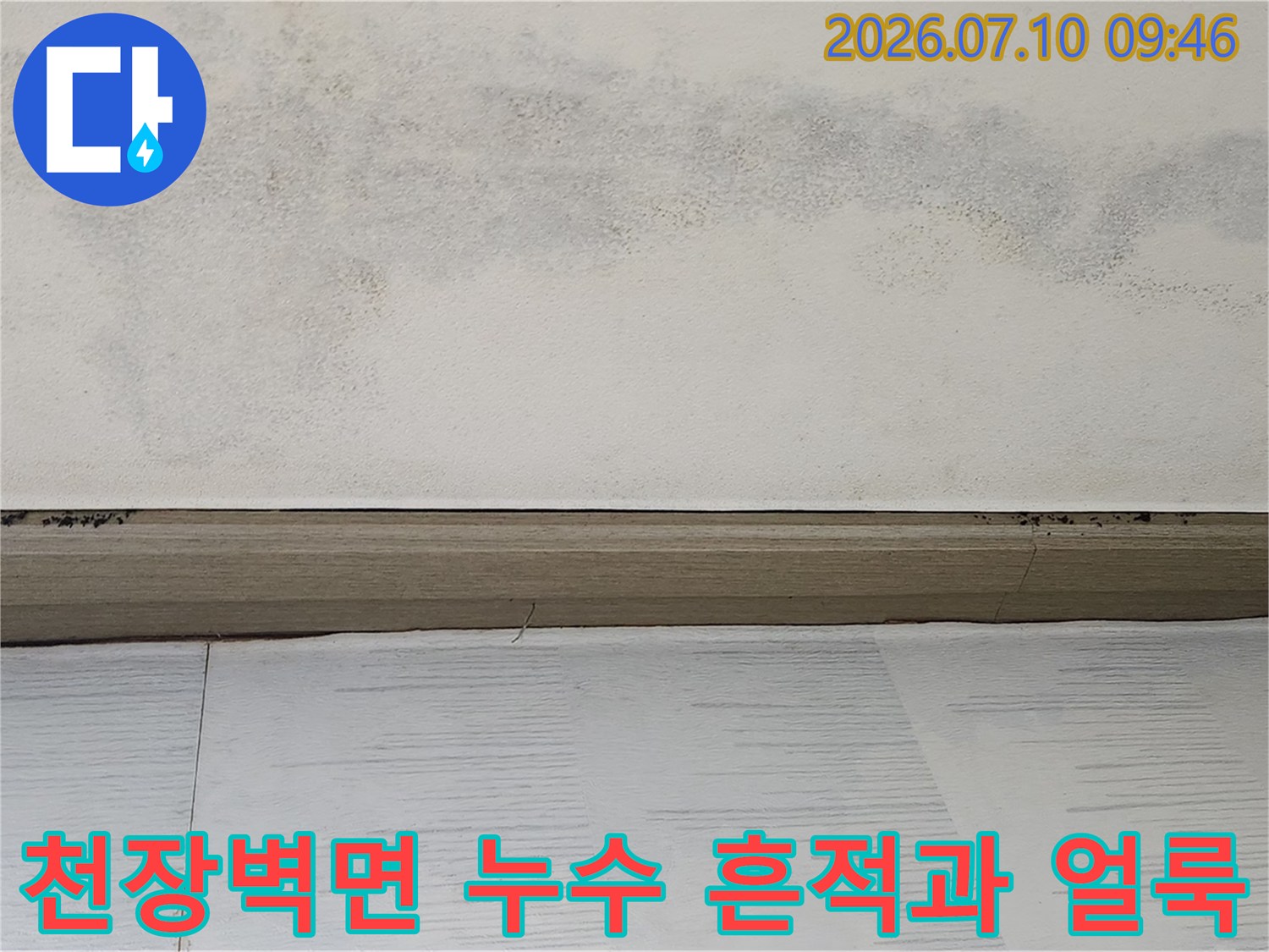 천장 몰딩 주변에 발생한 습기 얼룩과 곰팡이 흔적 이미지